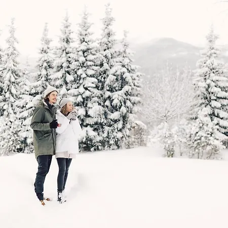 Hotel Alpenpalace Luxury Hideaway & Retreat Lutago